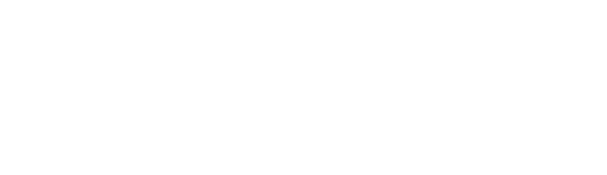BIG Business logo